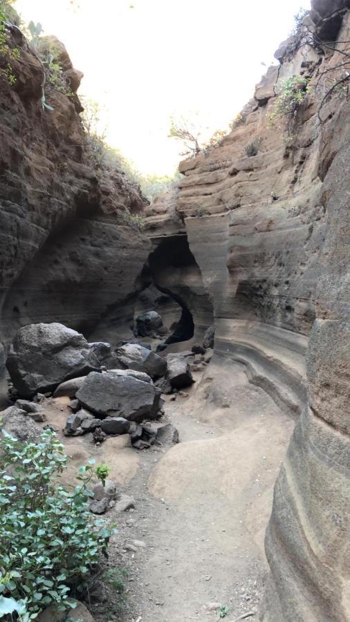 La Cuadra Finca El Calabres Agüimes Buitenkant foto