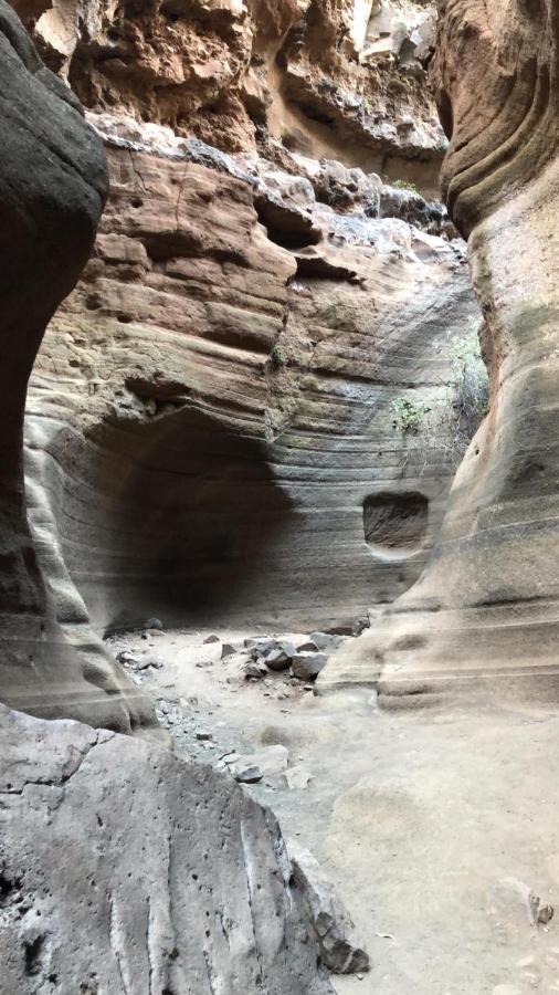 La Cuadra Finca El Calabres Agüimes Buitenkant foto