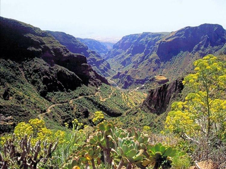 La Cuadra Finca El Calabres Agüimes Buitenkant foto